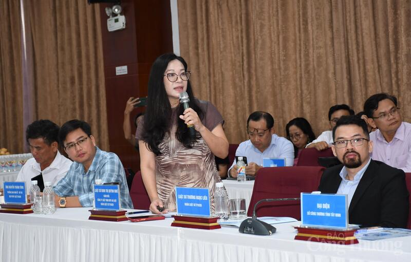 Luật sư Đinh Thị Quỳnh Như - Giám đốc Công ty Luật TNHH MTV An Luật. Ảnh: Thanh Minh.