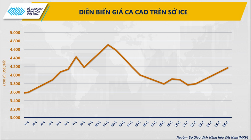 Diễn biến giá ca cao trên Sở ICE. Nguồn: MXV