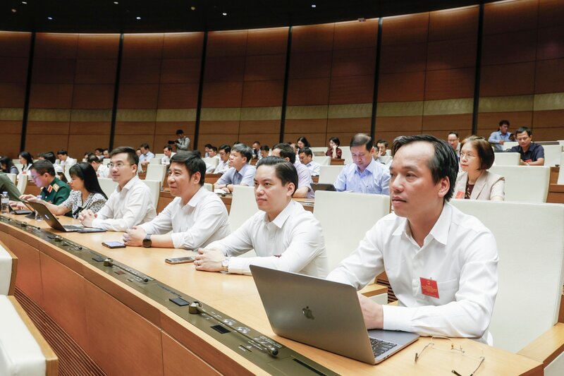 Các đại biểu tham dự hội nghị.