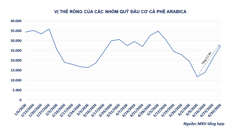 Vị thế ròng của các nhóm quỹ đầu cơ cà phê Arabica