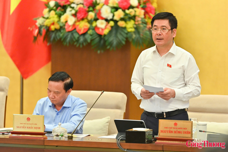 Phó Chủ tịch Quốc hội Nguyễn Hồng Diên phát biểu kết luận nội dung làm việc.