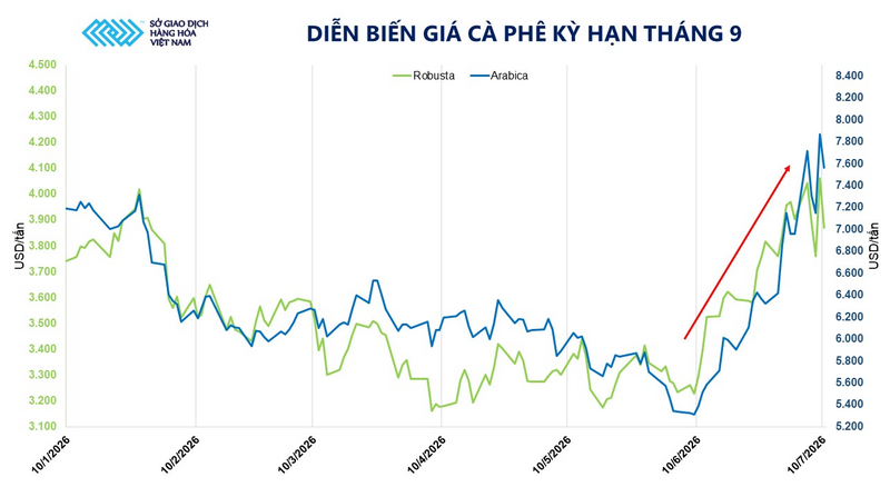 Diễn biến giá cà phê kỳ hạn tháng 9. Nguồn: MXV