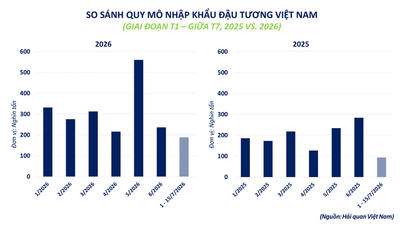 So sánh quy mô nhập khẩu đậu tương Việt Nam.