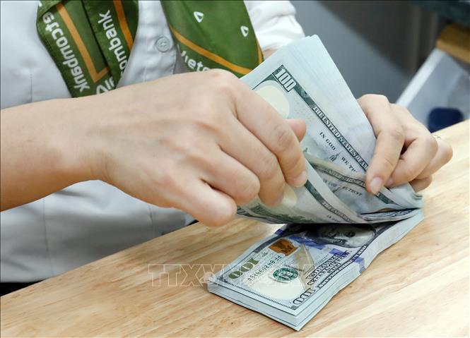 Tỷ giá USD hôm nay ngày 31/7/2026. Ảnh minh hoạ: TTXVN