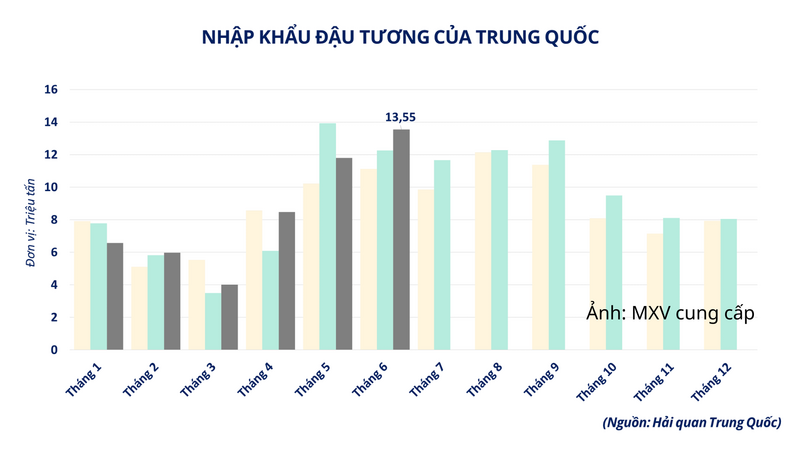 Nhập khẩu đậu tương của Trung Quốc