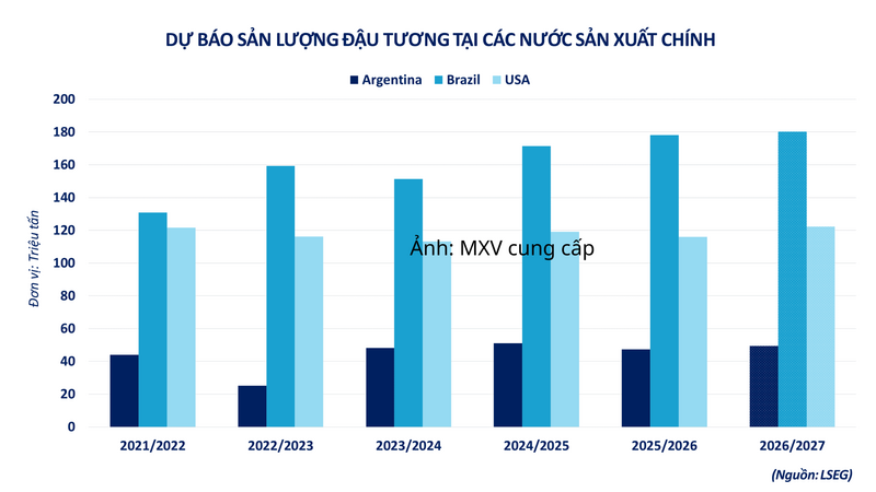 Dự báo sản lượng đậu tương tại các nước sản xuất chính.
