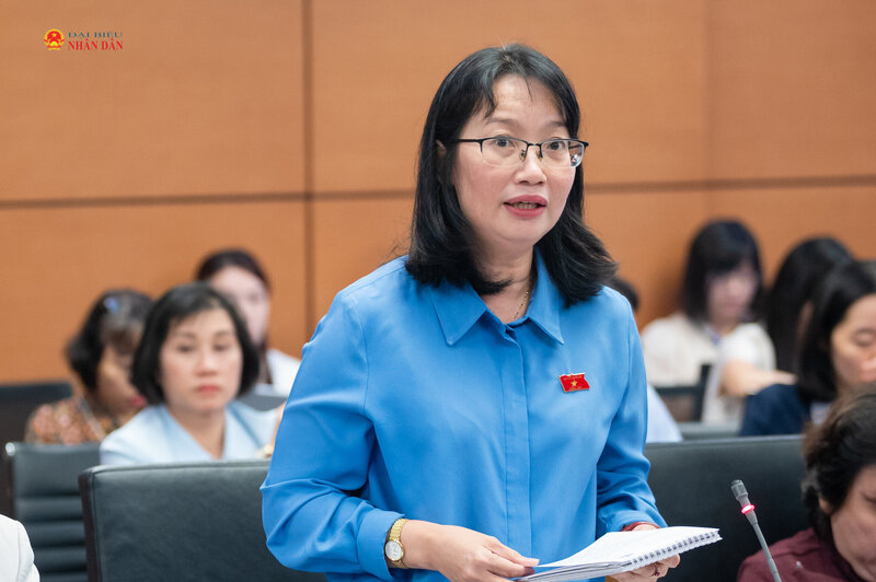 Đại biểu Trần Thị Diệu Thúy phát biểu thảo luận tại Tổ.