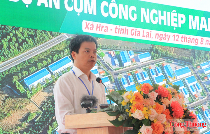 Phó Chủ tịch UBND tỉnh Gia Lai Nguyễn Hữu Quế đánh giá việc triển khai Cụm công nghiệp Mang Yang số 2 là dấu mốc có ý nghĩa đối với phát triển hạ tầng công nghiệp của địa phương.