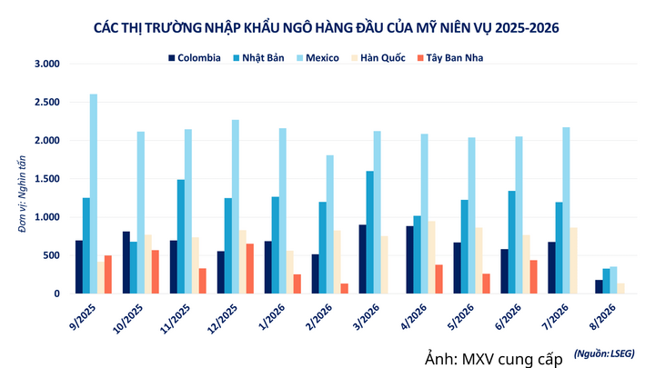 Các thị trường nhập khẩu ngô hàng đầu của Mỹ niên vụ 2025-2026