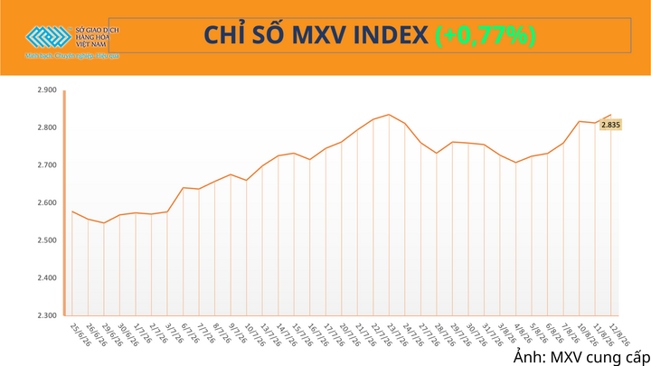 Chỉ số MXV-Index