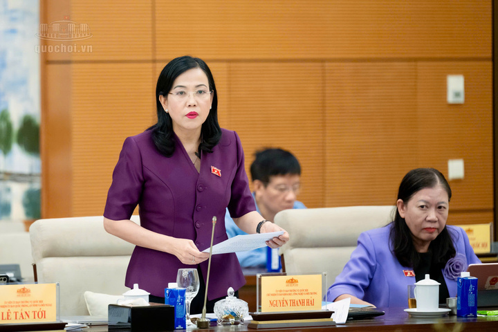Chủ nhiệm Ủy ban Khoa học, Công nghệ và Môi trường  Nguyễn Thanh Hải góp ý hoàn thiện dự thảo Luật.