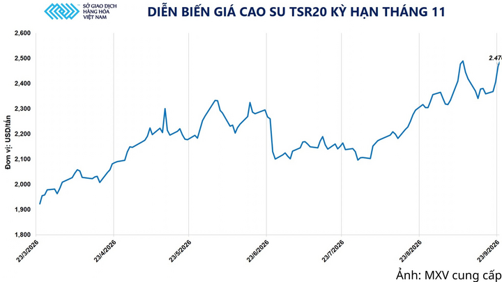 Diễn biến giá cao su TSR20.