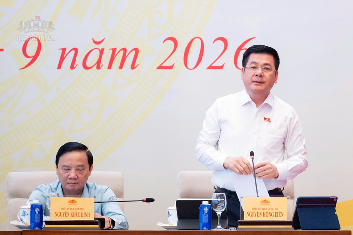 Phó Chủ tịch Quốc hội Nguyễn Hồng Diên phát biểu kết luận. Ảnh: Quochoi.vn