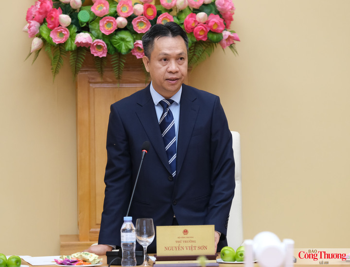 Thứ trưởng Bộ Công Thương Nguyễn Việt Sơn phát biểu tại chương trình.