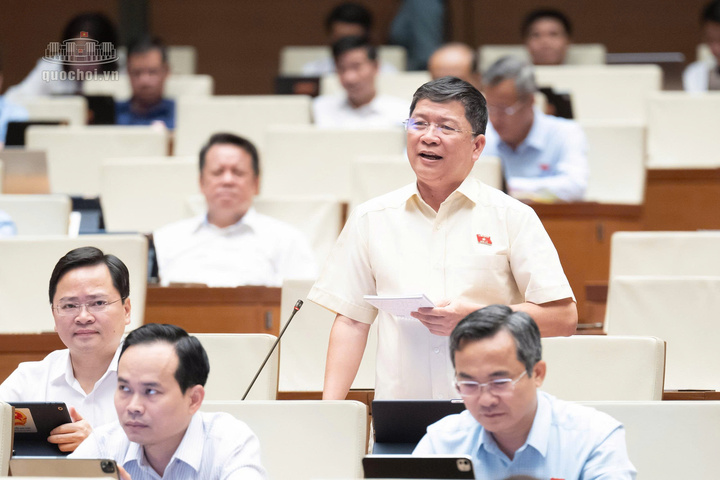 Đại biểu Tạ Văn Hạ, Đại biểu Quốc hội TP Đà Nẵng